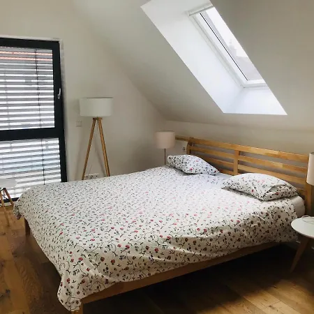 Apartment Cloud Uhldingen-Muehlhofen